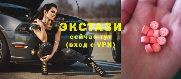 a pvp Бородино