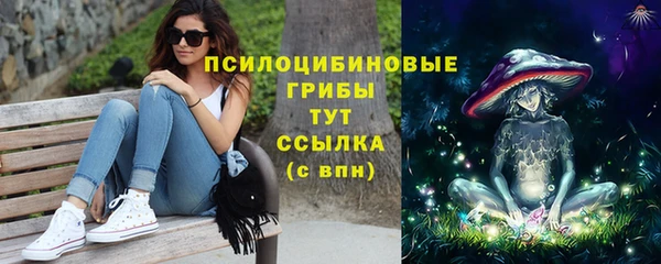 дмт Бугульма
