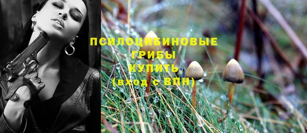 ГАЛЛЮЦИНОГЕННЫЕ ГРИБЫ Магас