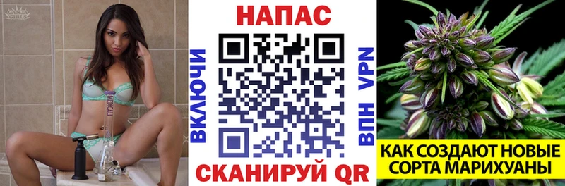 Шишки марихуана VHQ  Ноябрьск 